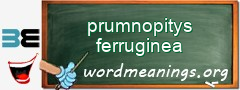 WordMeaning blackboard for prumnopitys ferruginea